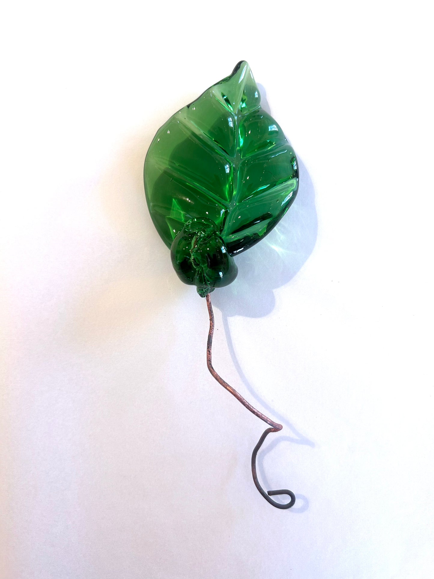 Leave with Copper Wire