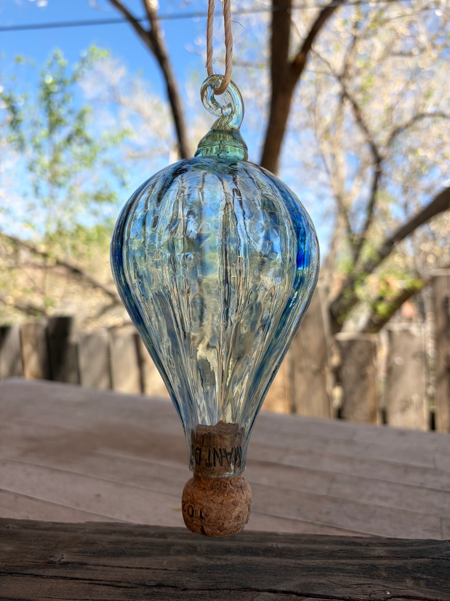 Hot Air Balloon