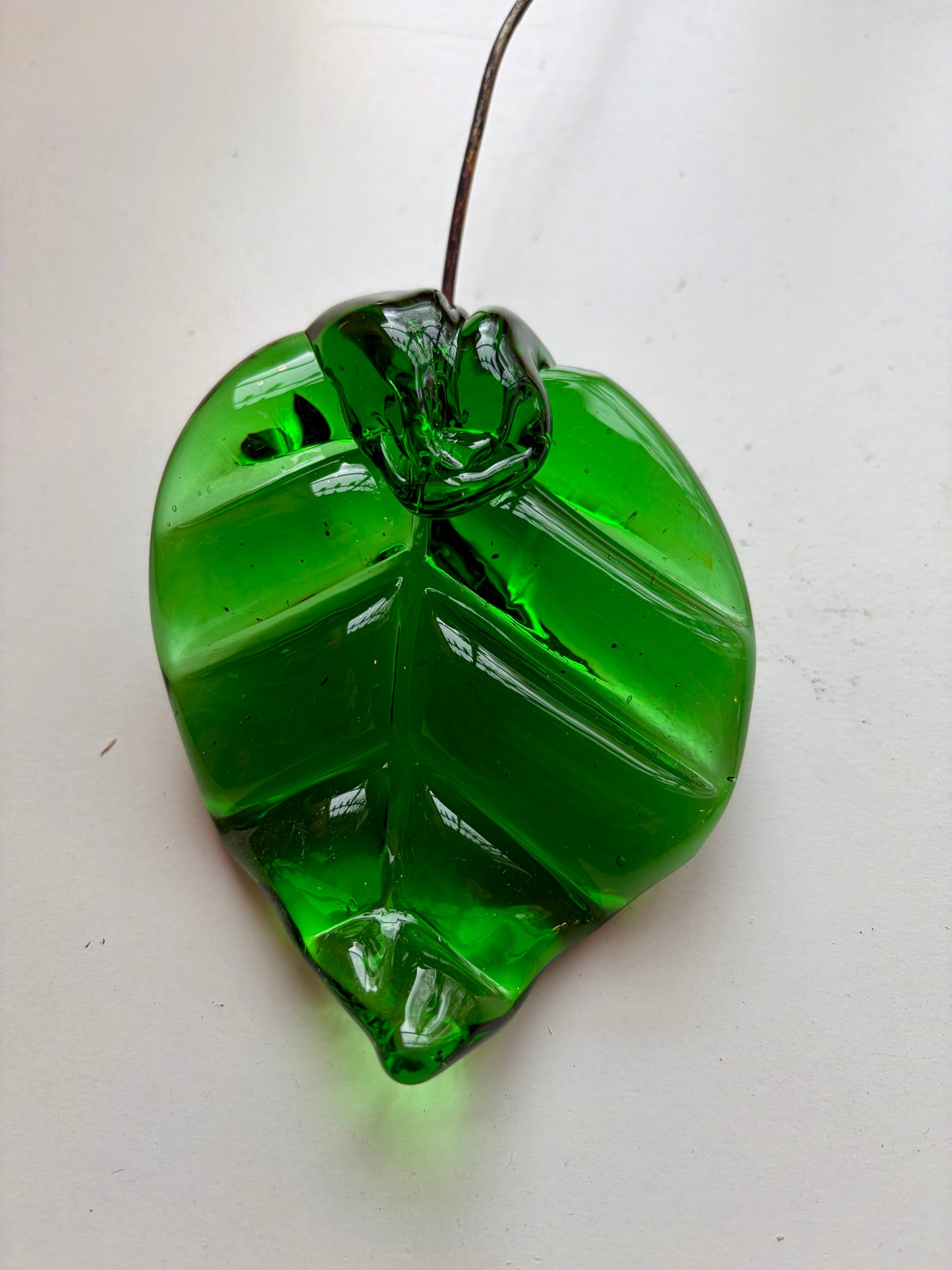 Leave with Copper Wire